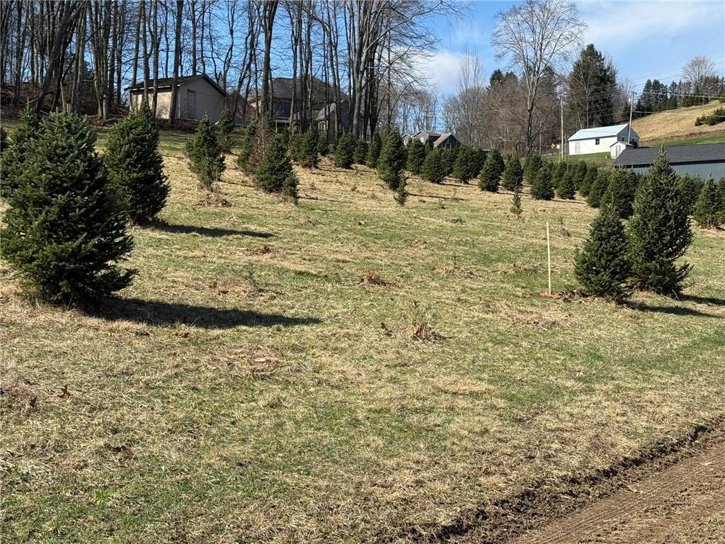 0 Prospect Road Evans City, PA 16033 - Photo 7 of 26 Gallery Image 7