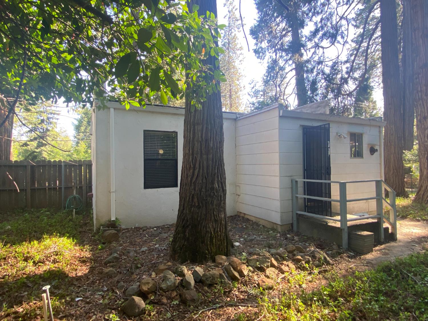 11314 Squirrel Creek Road Grass Valley, CA 95945 - Photo 2 of 34