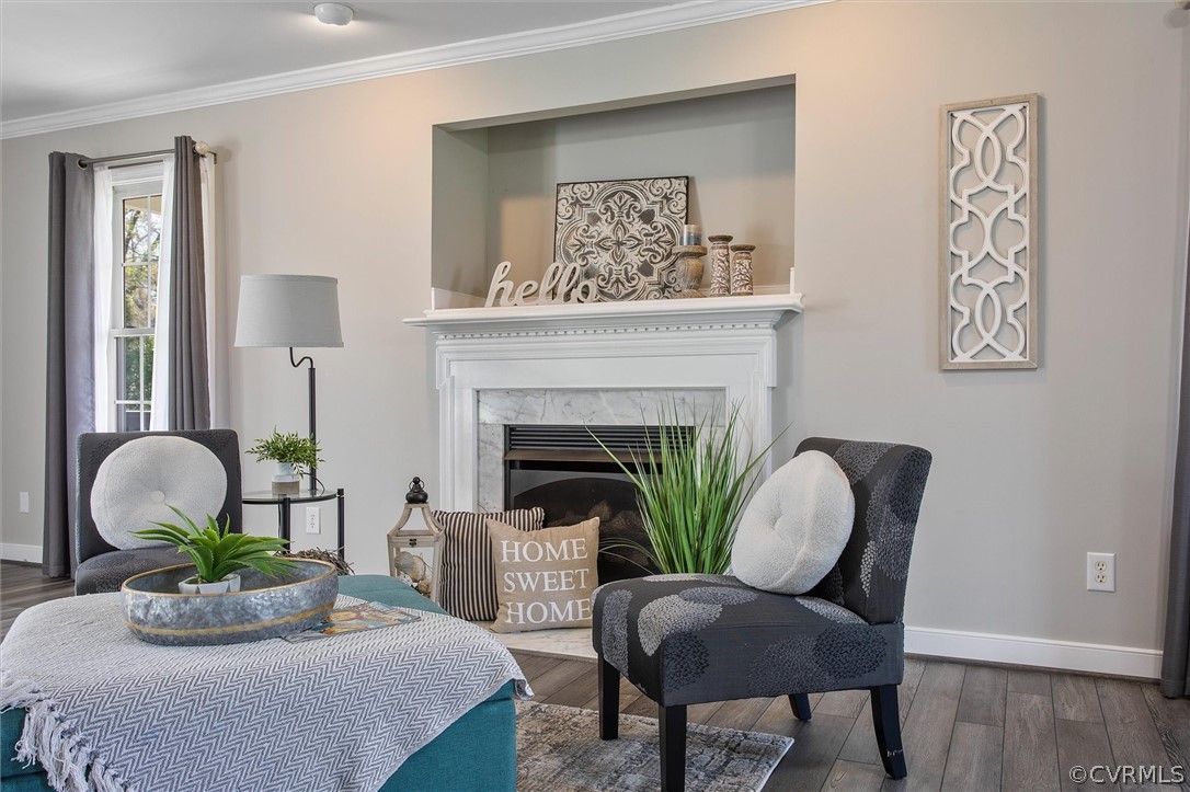17312 Parsons Ridge Road Beaverdam, VA 23015 - Photo 10 of 49 a living room with furniture and a potted plant