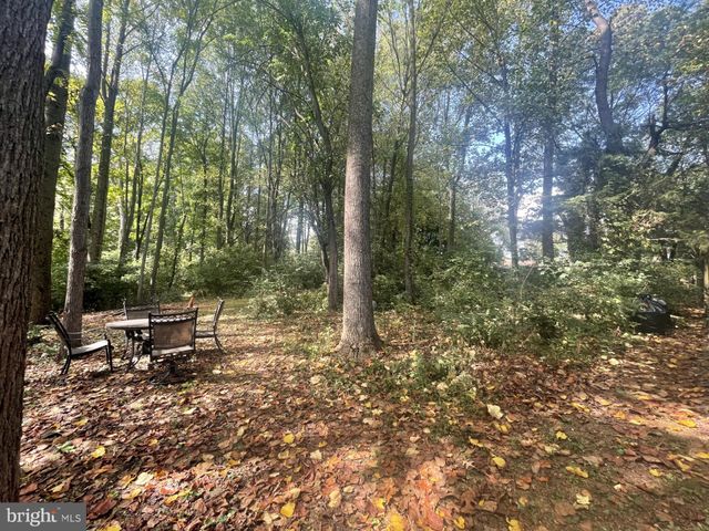 a view of outdoor space with lots of trees