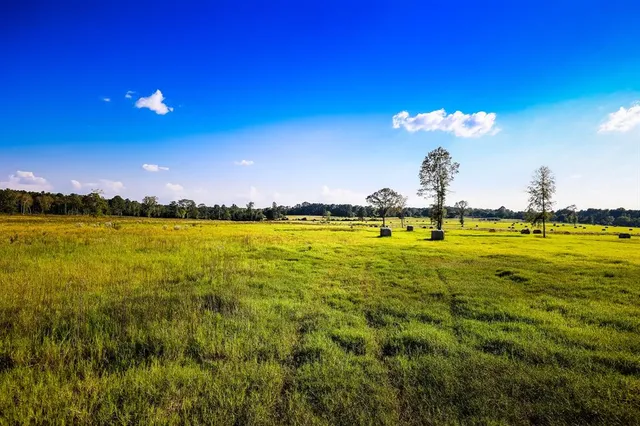 $3,875,000 | 3280 North Fm 450, Hallsville, TX 75650