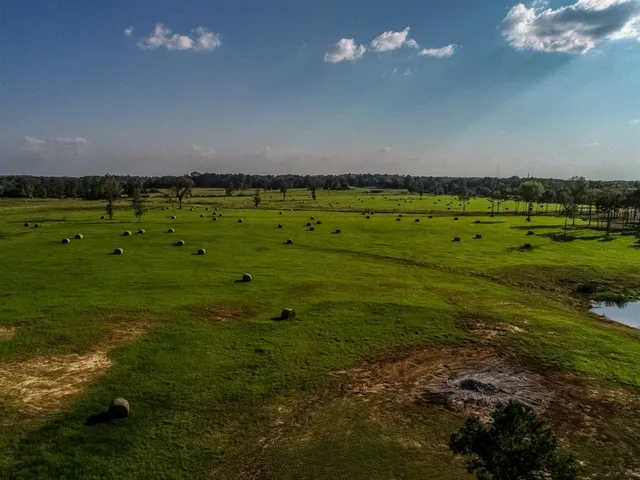 $3,875,000 | 3280 North Fm 450, Hallsville, TX 75650