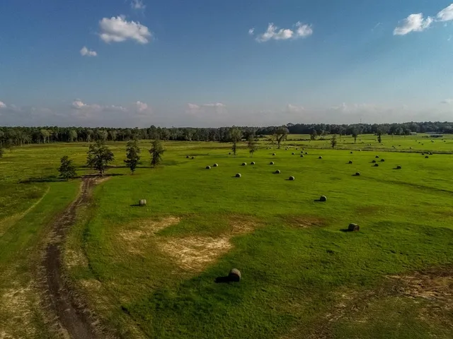 $3,875,000 | 3280 North Fm 450, Hallsville, TX 75650