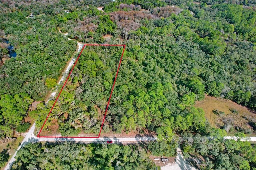 Sonia Avenue Webster, FL 33597 - Photo 11 of 12