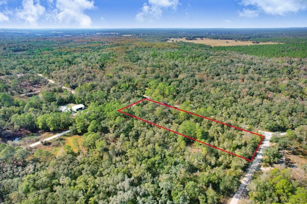 Sonia Avenue Webster, FL 33597 - Photo 3 of 12