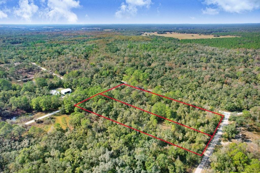 Sonia Avenue Webster, FL 33597 - Photo 4 of 12