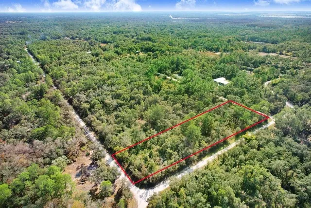 a view of a city with lush green forest