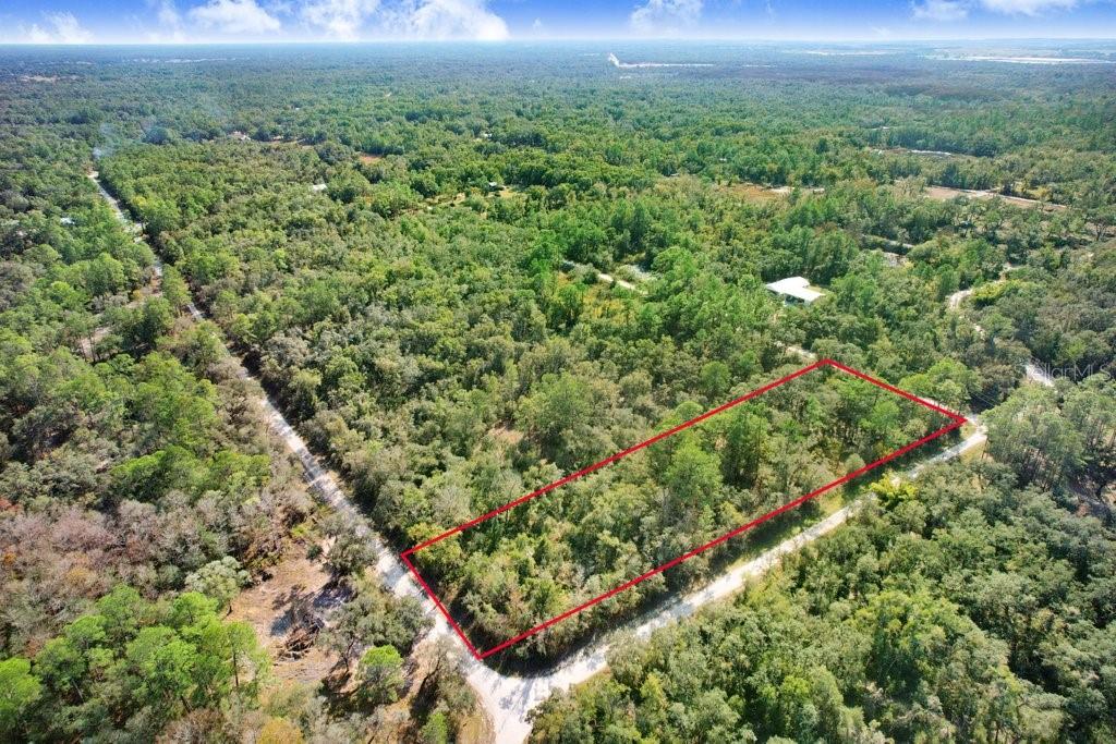 Sonia Avenue Webster, FL 33597 - Photo 5 of 12