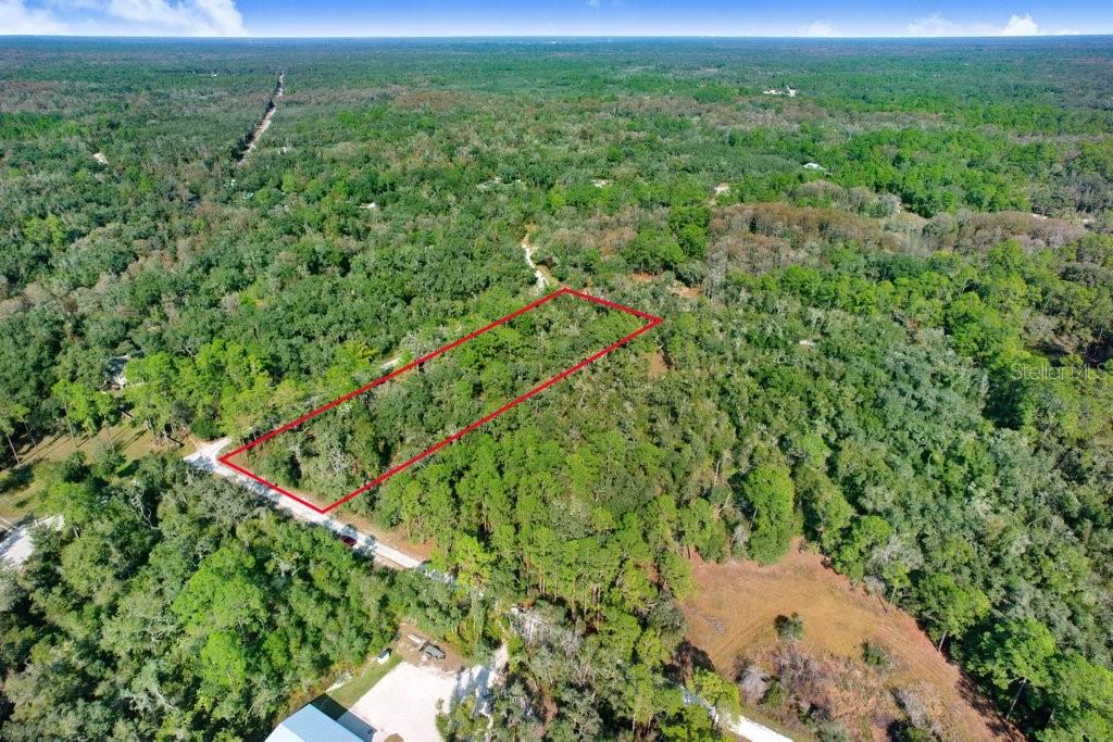 Sonia Avenue Webster, FL 33597 - Photo 9 of 12