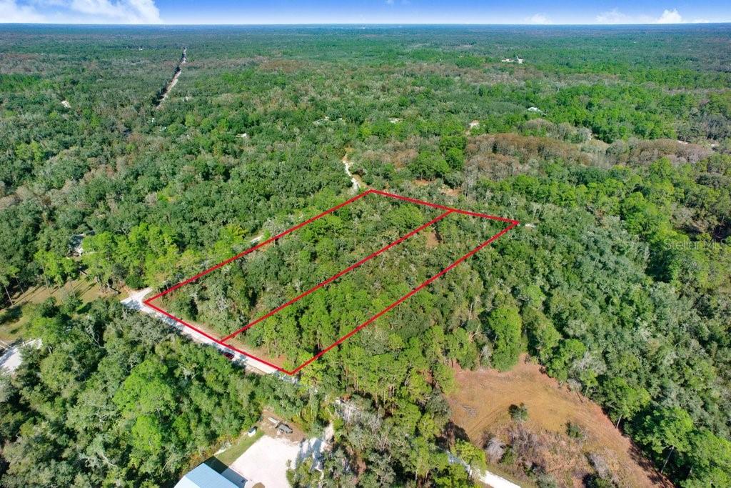 Sonia Avenue Webster, FL 33597 - Photo 10 of 12