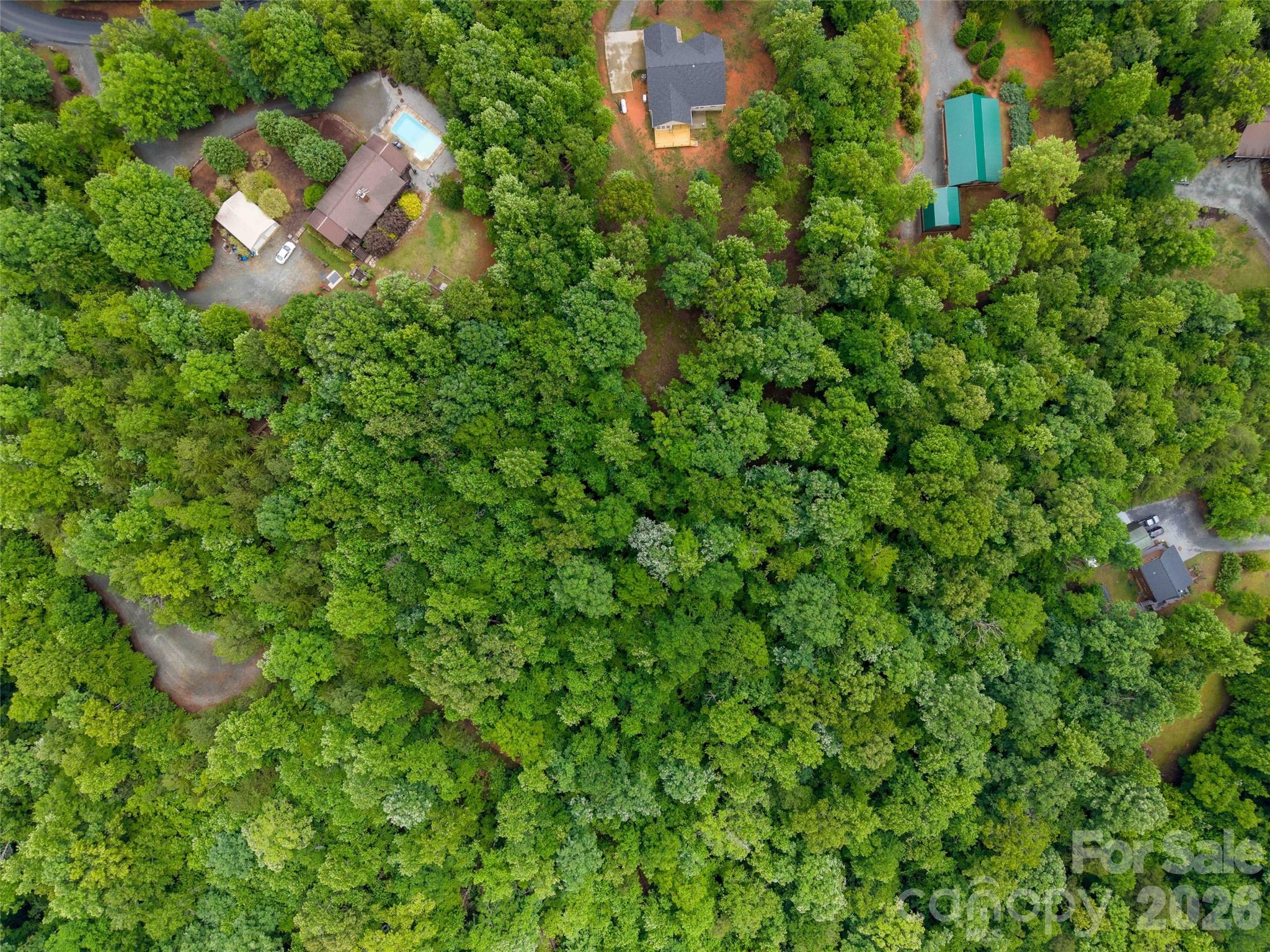 0 Bee Gee Drive Rutherfordton, NC 28139 - Photo 15 of 26