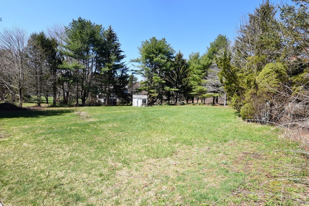 15 Furnace Street Marshfield, MA 02050 - Photo 9 of 41 a view of a grassy field with trees