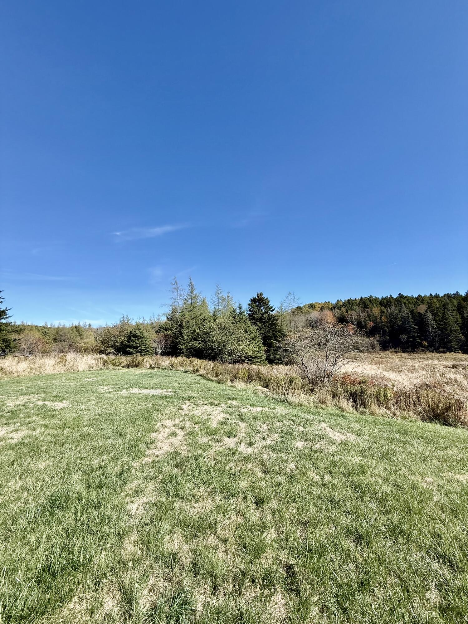 406 West Kennebec Road Machias, ME 04654 - Photo 9 of 25 IMG_8216