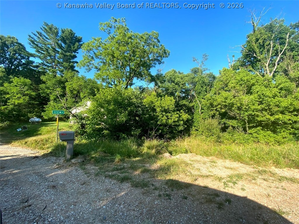 213 Davidson Ridge Road Palestine, WV 26160 - Photo 22 of 44 Gallery Image 22