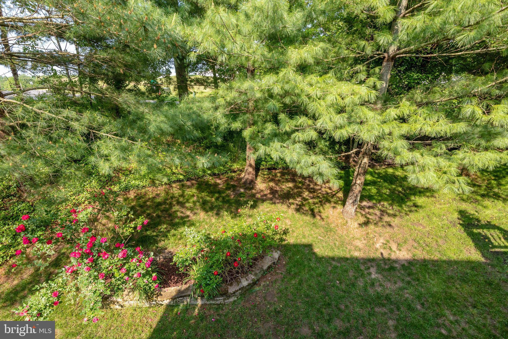 3210 Escapade Circle Riva, MD 21140 - Photo 53 of 61 Wooded Back Yard