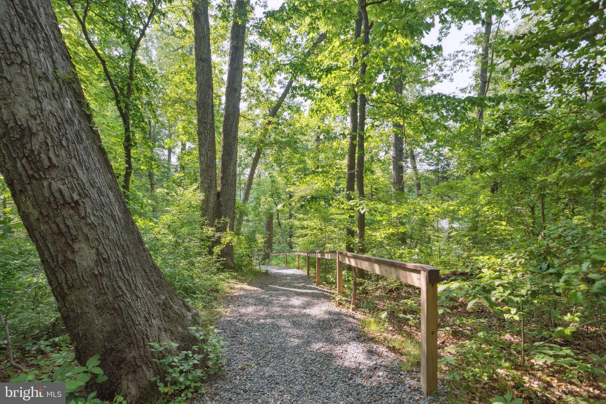 3210 Escapade Circle Riva, MD 21140 - Photo 55 of 61