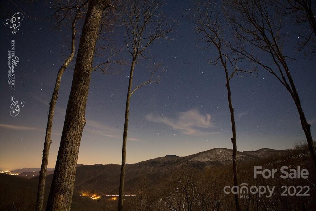 1251 Long Branch Road Maggie Valley, NC 28751 - Photo 13 of 32 Gallery Image 13