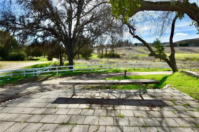 a view of a park with large trees