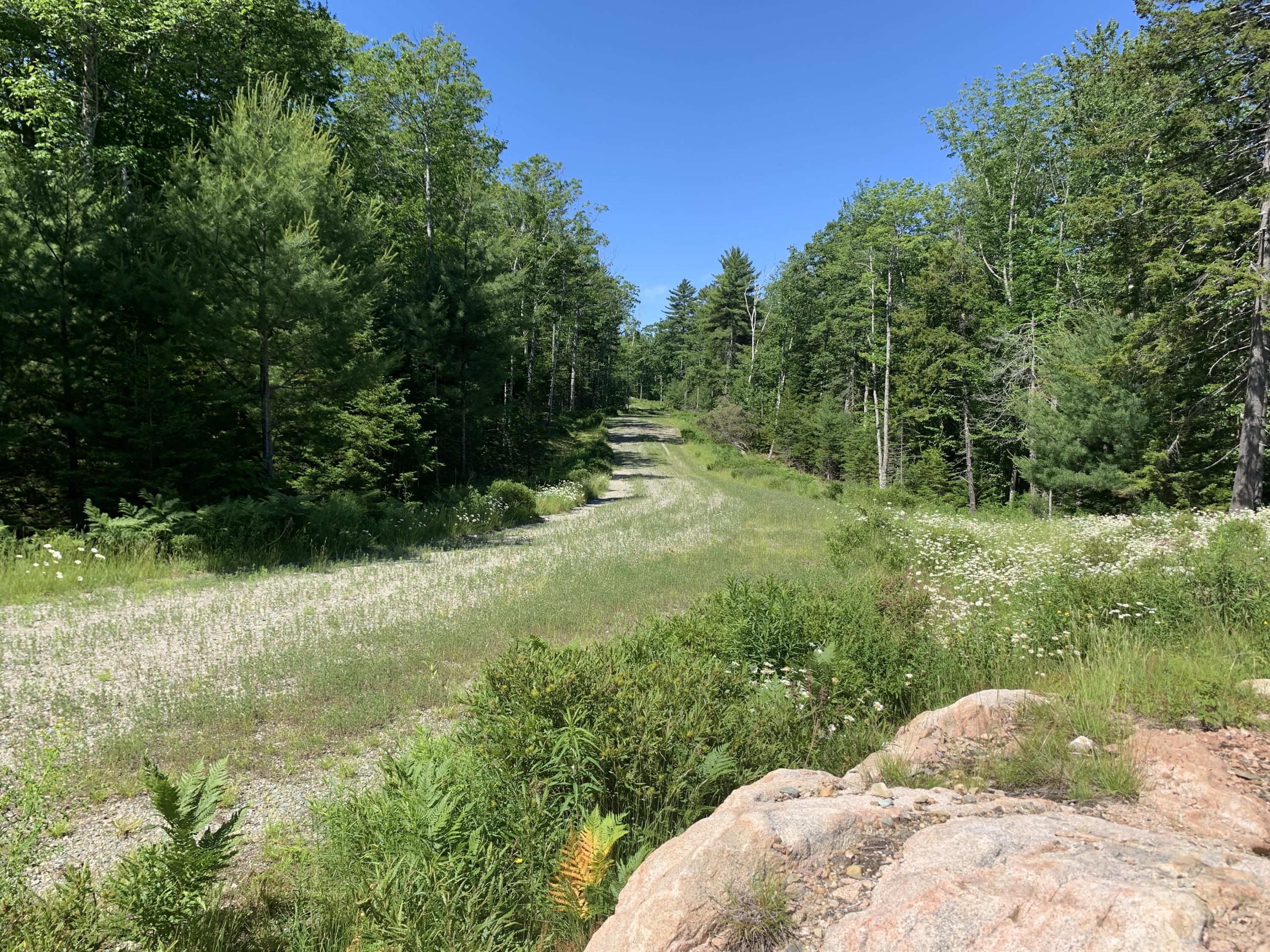 0 Patty Lp Road Mount Desert, ME 04660 - Photo 1 of 6 IMG_5997