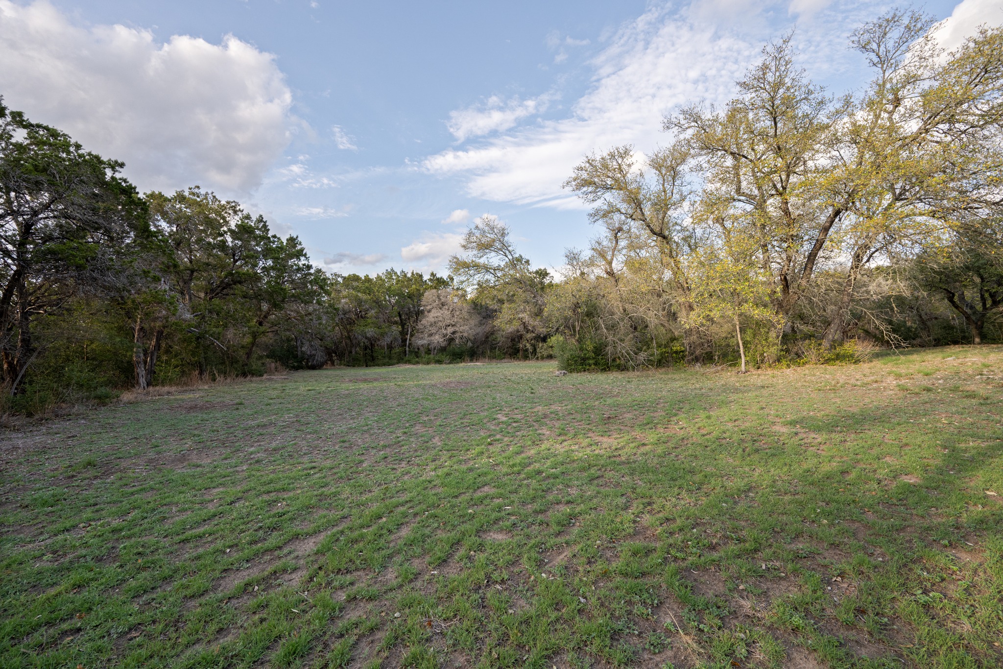 600 River Hills Road Austin, TX 78733 - Photo 36 of 40 Flat grassy yard space