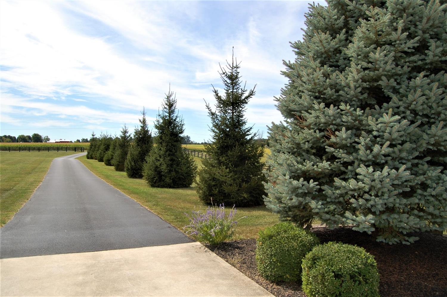 26956 Legion Road Sunman, IN 47041 - Photo 4 of 30