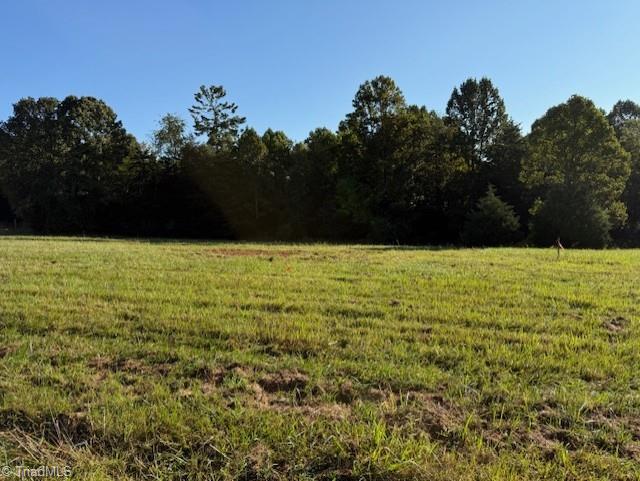 Lot 35 Frank Joyce Road Sandy Ridge, NC 27046 - Photo 3 of 7