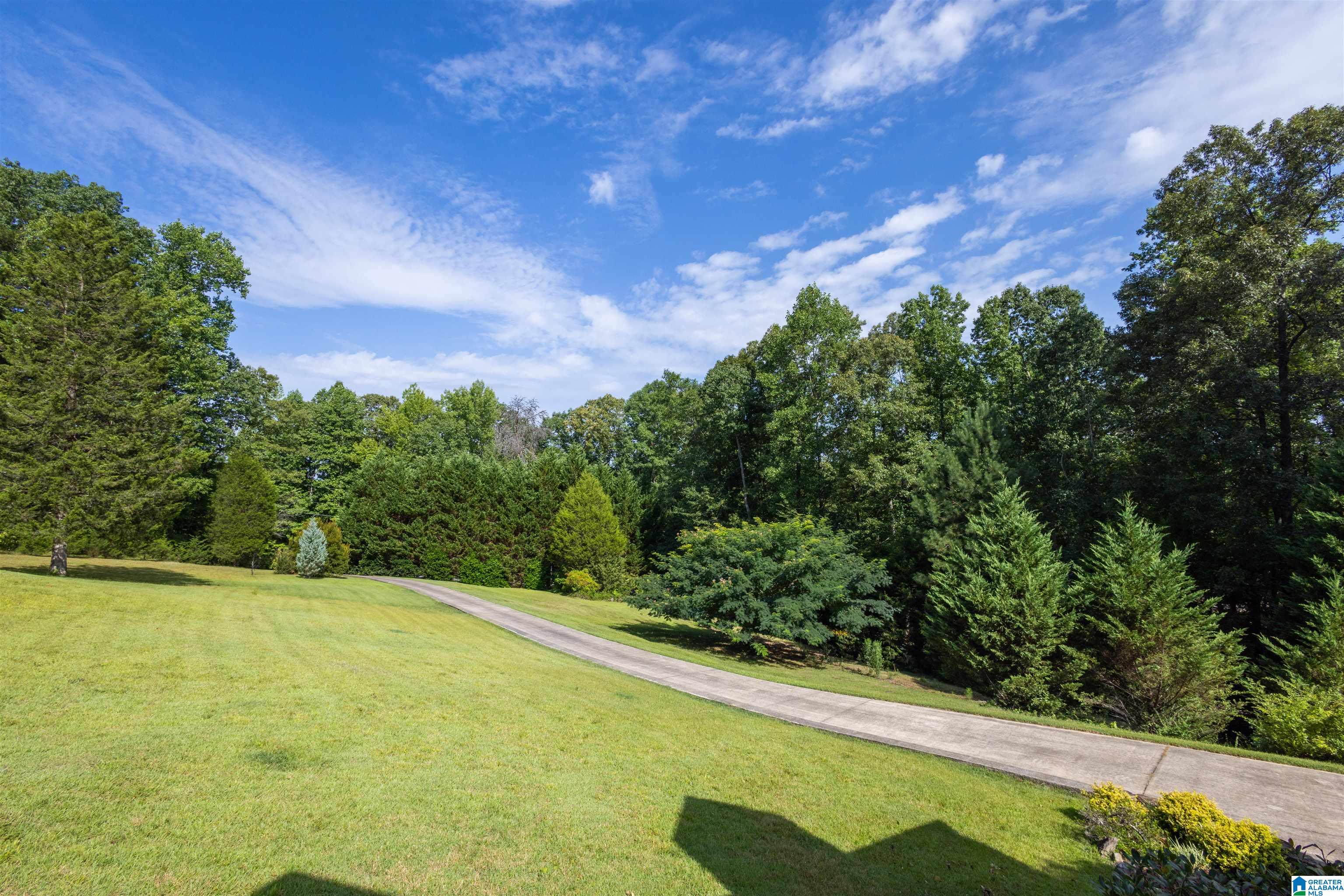640 Beaver Ridge Circle Ashville, AL 35953 - Photo 4 of 45