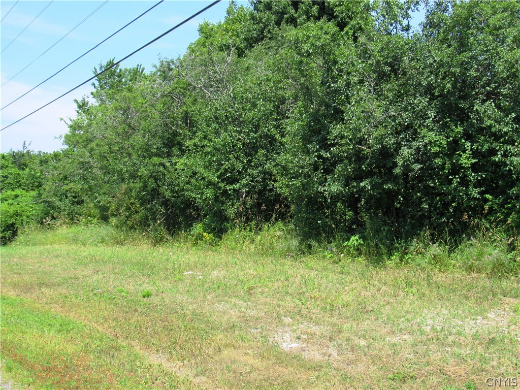 Lot 4 B Adams Road Dexter, NY 13634 - Photo 1 of 1 Gallery Image 1