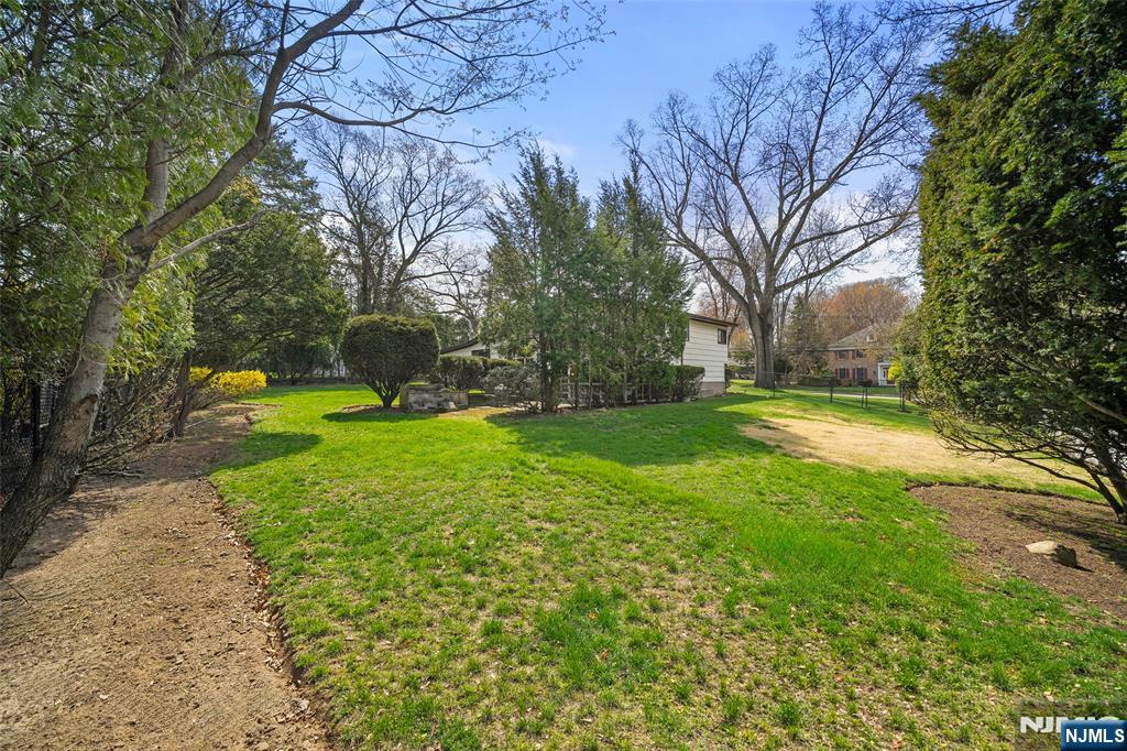 970 Soldier Hill Road Emerson, NJ 07630 - Photo 35 of 37 a view of a park with large trees