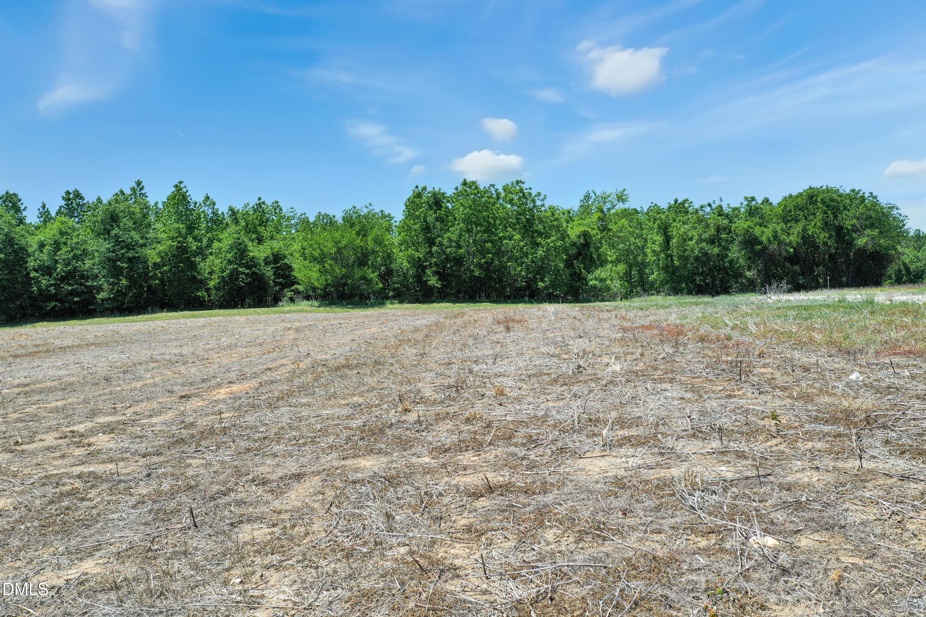 522 Mays Crossroad Road Franklinton, NC 27525 - Photo 4 of 23