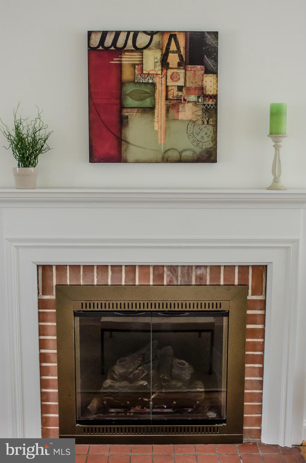 10435 Edgewood Avenue Silver Spring, MD 20901 - Photo 6 of 30 Gas Fireplace