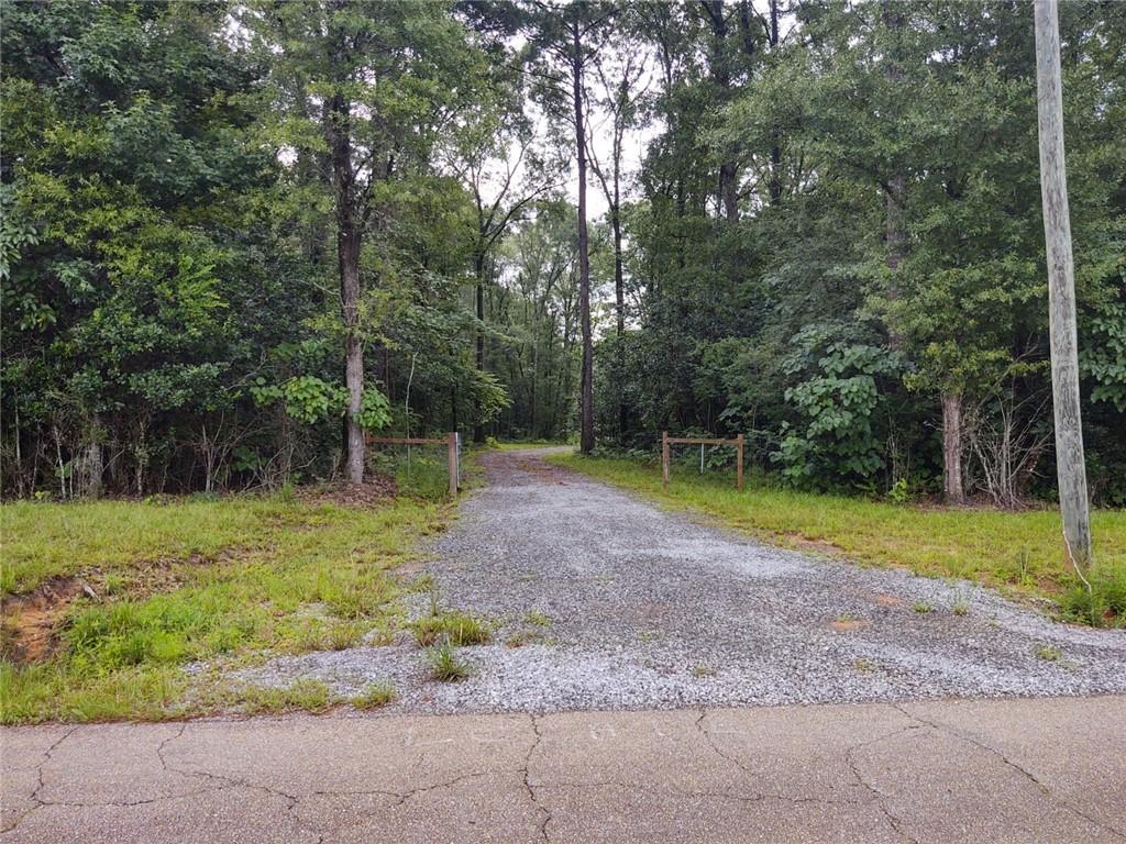 81480 Anthony Road Folsom, LA 70437 - Photo 2 of 17 Gallery Image 2
