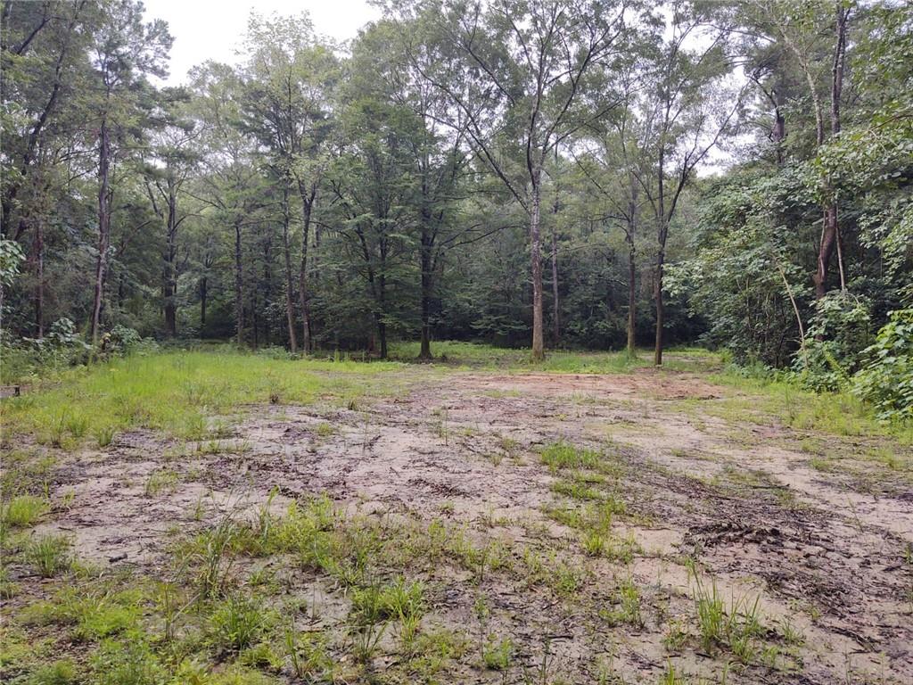 81480 Anthony Road Folsom, LA 70437 - Photo 4 of 17 Gallery Image 4