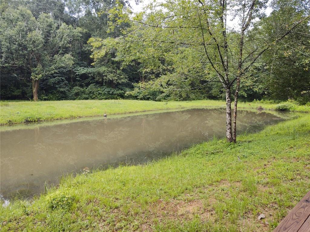 81480 Anthony Road Folsom, LA 70437 - Photo 5 of 17 Gallery Image 5