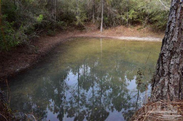 1 Pat Brown Road Milton, FL 32570 - Photo 2 of 30 Gallery Image 2