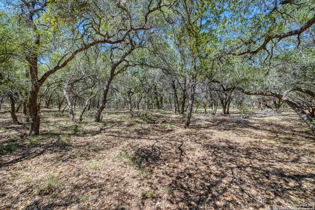 a view of outdoor space with trees