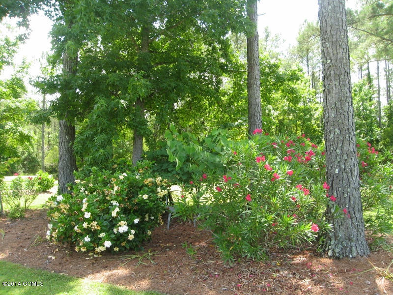 130 Thurman Road Beaufort, NC 28516 - Photo 37 of 49 Landscaping