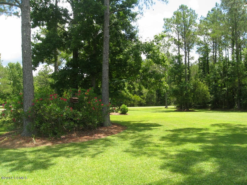 130 Thurman Road Beaufort, NC 28516 - Photo 38 of 49 Front Yard