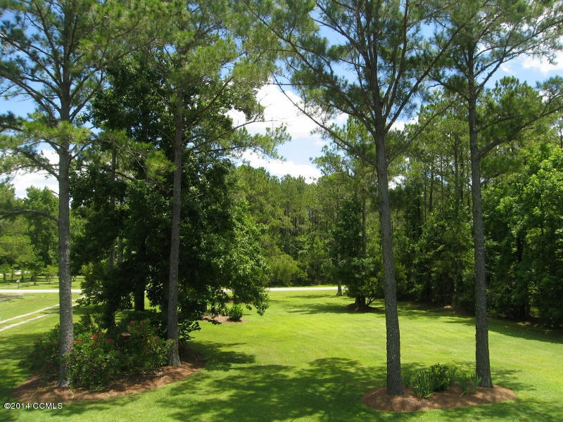 130 Thurman Road Beaufort, NC 28516 - Photo 39 of 49 Front Yard