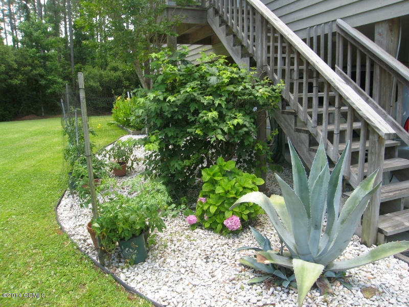 130 Thurman Road Beaufort, NC 28516 - Photo 49 of 49 Landscaped Yard