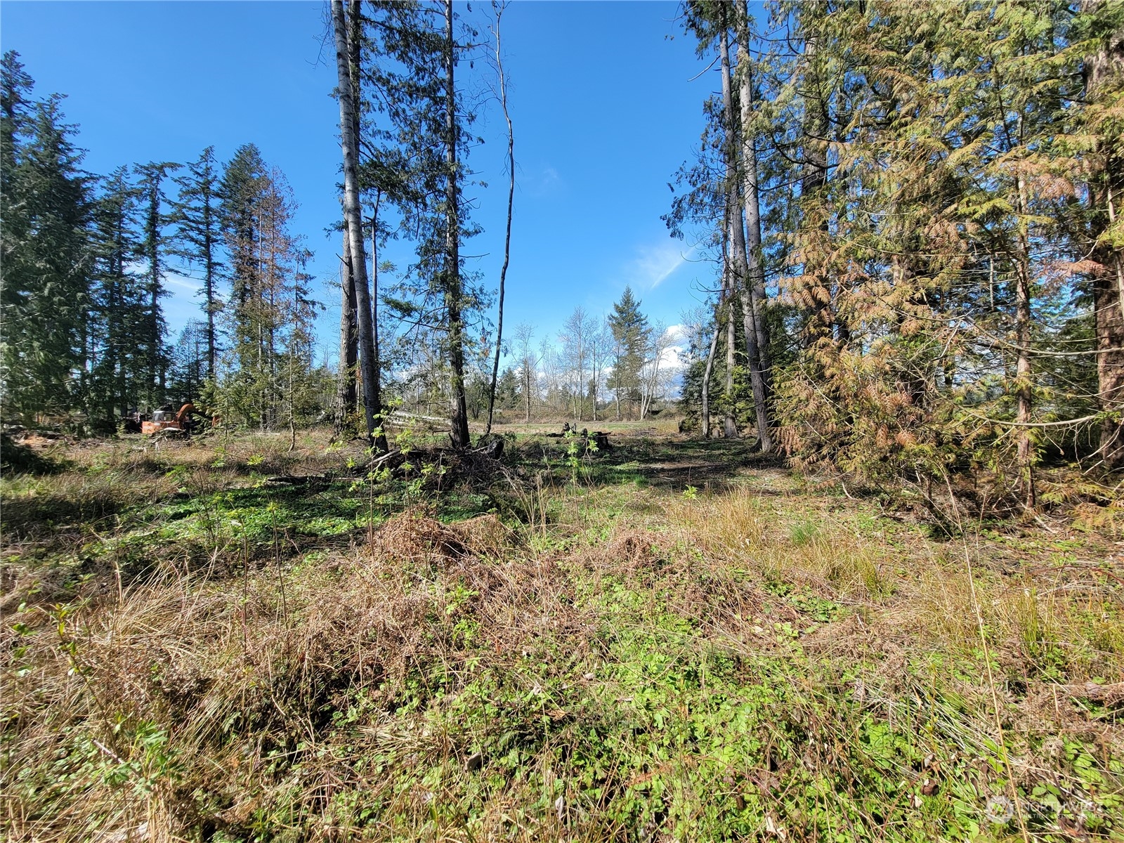 7700 Custer School Road Custer, WA 98240 - Photo 11 of 31 a view of outdoor space with trees all around