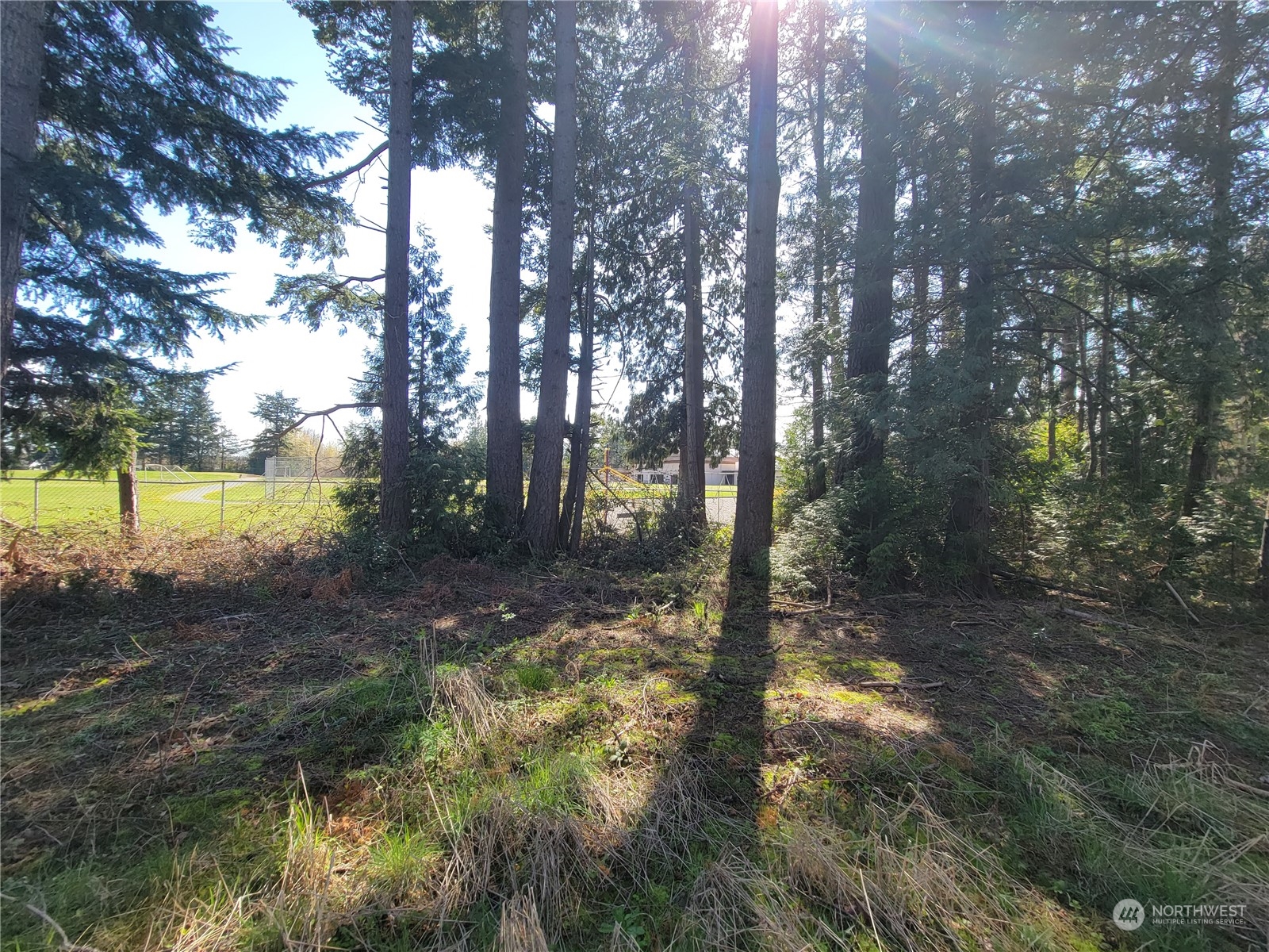 7700 Custer School Road Custer, WA 98240 - Photo 18 of 31 a view of a yard with trees