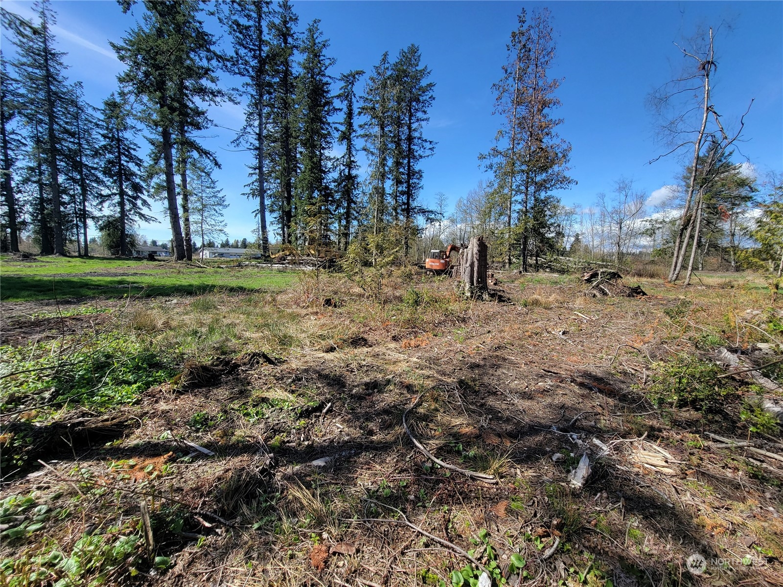 7700 Custer School Road Custer, WA 98240 - Photo 19 of 31 a view of a field with trees
