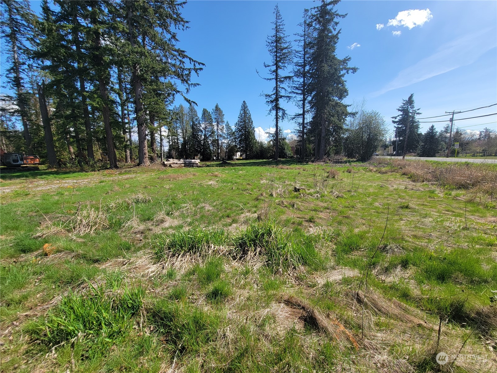 7700 Custer School Road Custer, WA 98240 - Photo 2 of 31 a view of backyard with green space