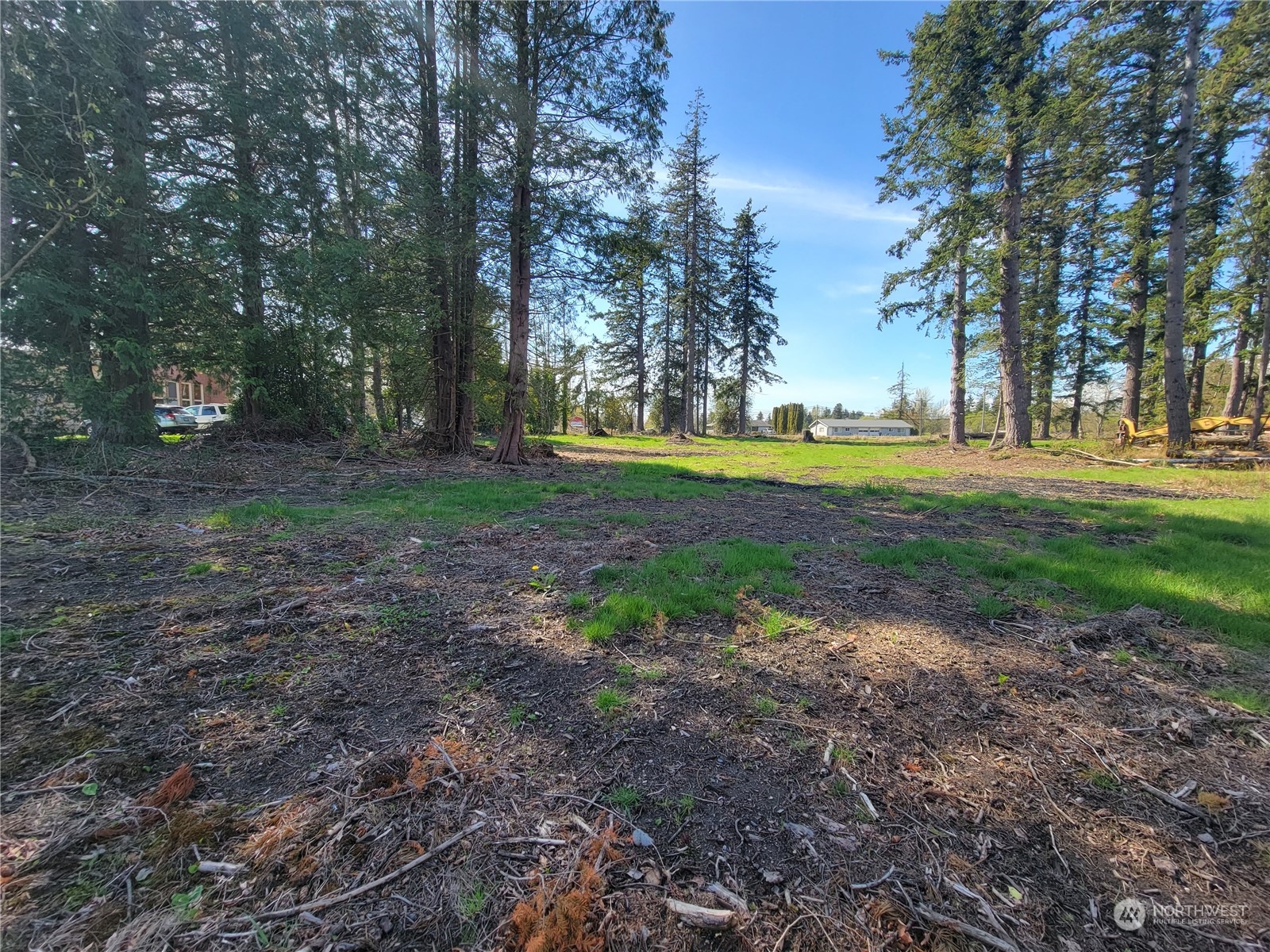 7700 Custer School Road Custer, WA 98240 - Photo 23 of 31 a view of a yard with trees