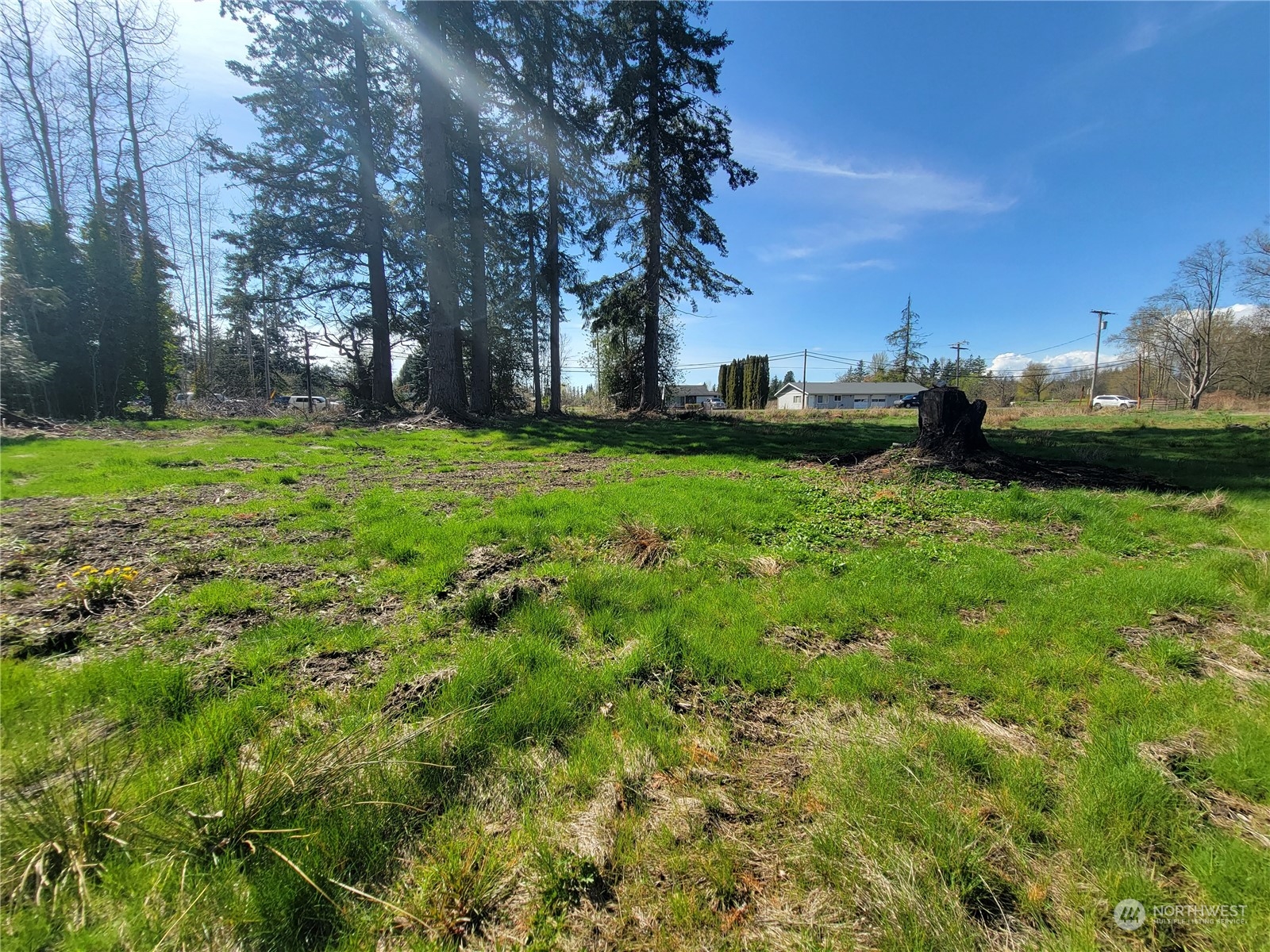 7700 Custer School Road Custer, WA 98240 - Photo 24 of 31 a backyard of a house with lots of green space