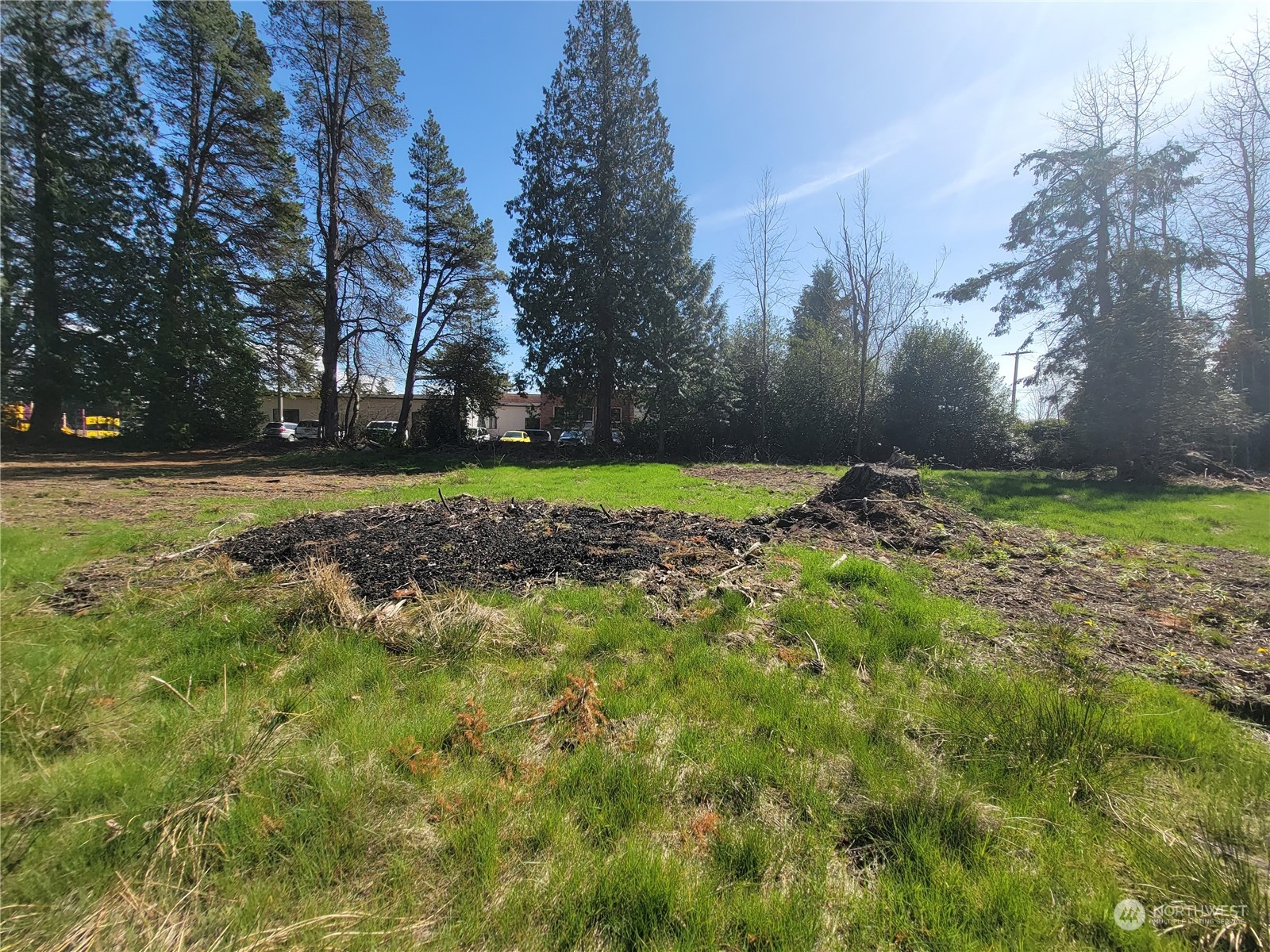 7700 Custer School Road Custer, WA 98240 - Photo 25 of 31 a big yard with lots of green space and trees