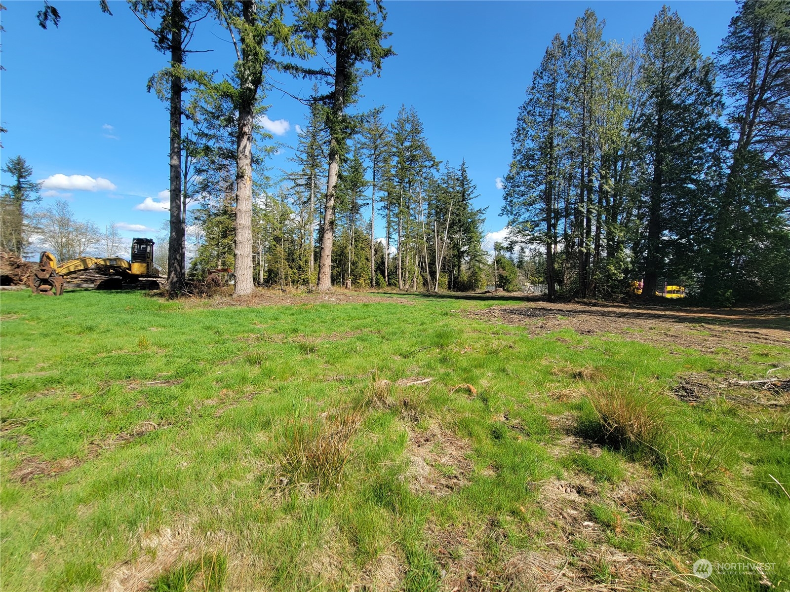 7700 Custer School Road Custer, WA 98240 - Photo 26 of 31 a view of a trees in a yard