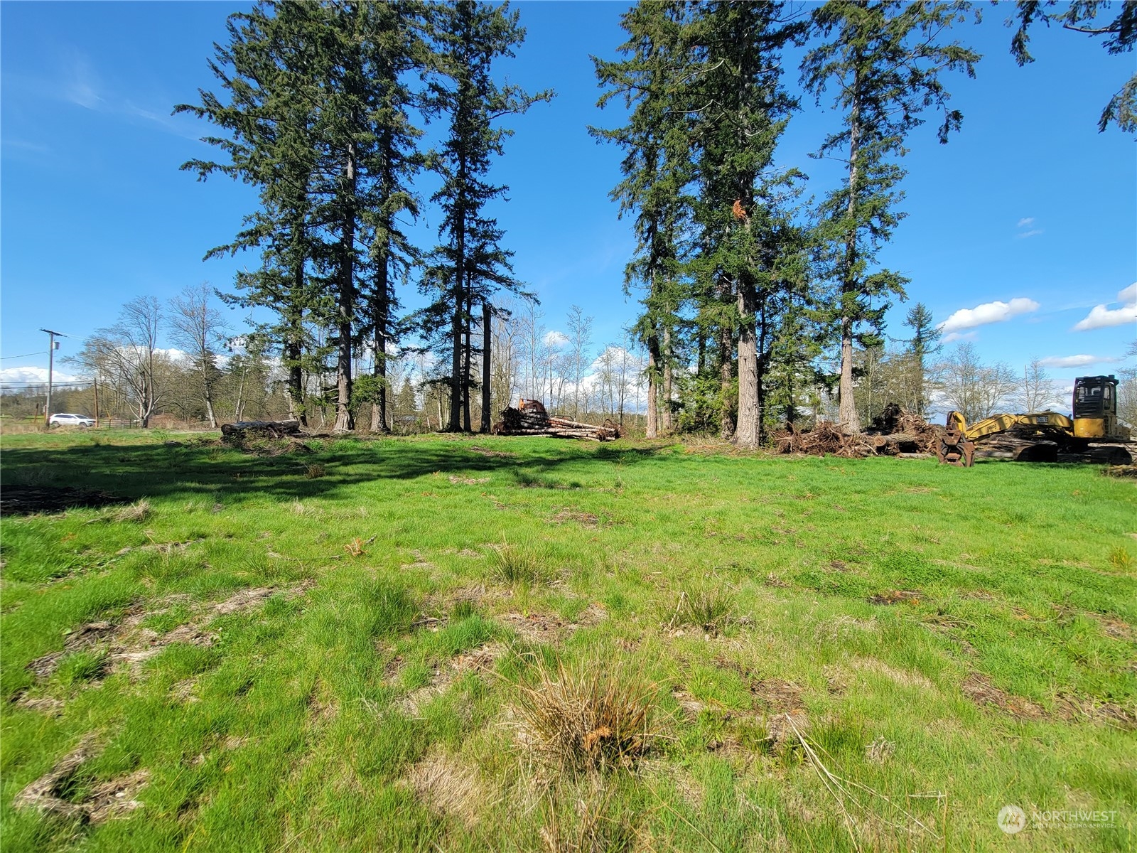 7700 Custer School Road Custer, WA 98240 - Photo 27 of 31 a view of yard with trees