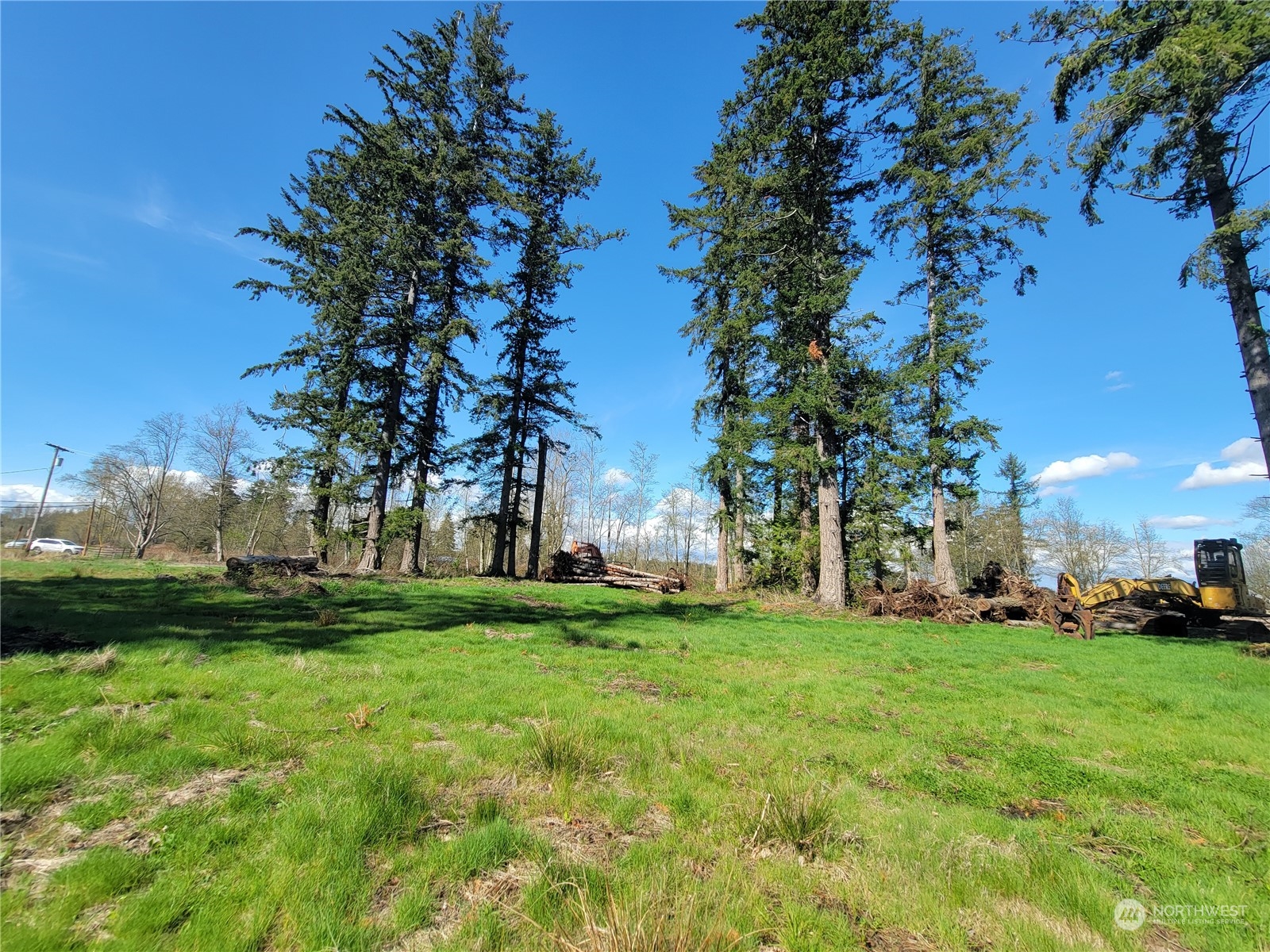 7700 Custer School Road Custer, WA 98240 - Photo 28 of 31 a view of a park with lots of palm trees